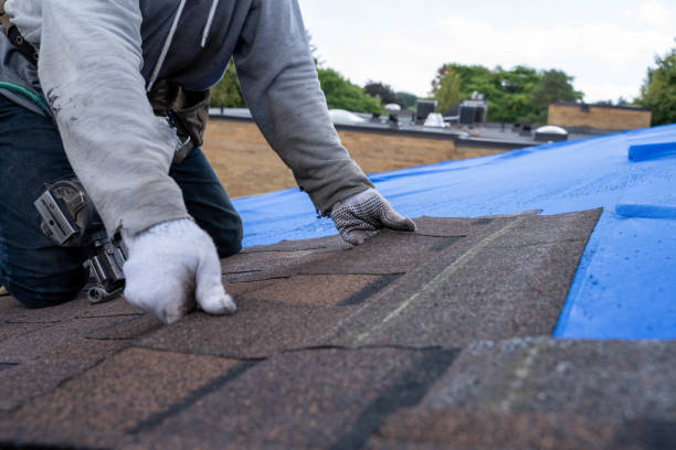 Best New Roof Installation  in Dell Rapids, SD