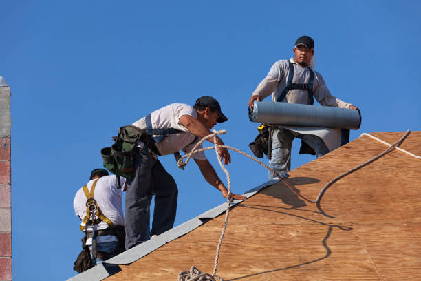 Best Shingle Roofing Installation  in Dell Rapids, SD