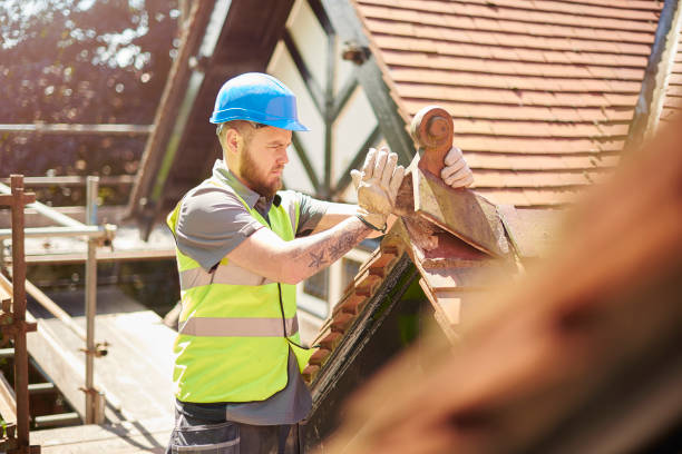 Best Shingle Roofing Installation  in Dell Rapids, SD