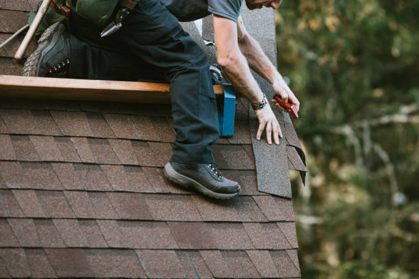 Professional Roofing Contractor in Dell Rapids, SD